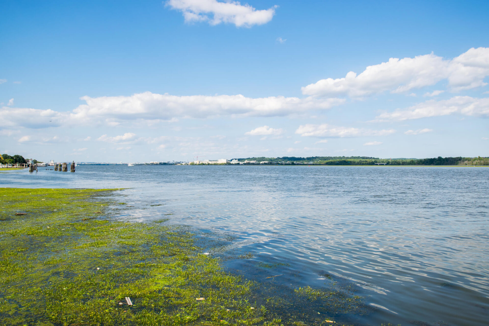 Alexandria Marsh -1